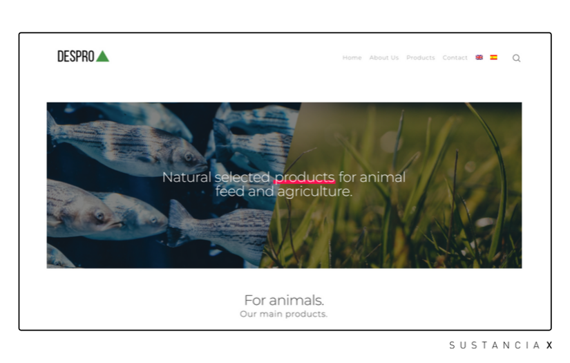 Despro Uruguay screenshot 1